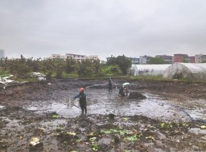 夏县河道鱼塘清淤